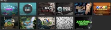 bodog Video Bingo